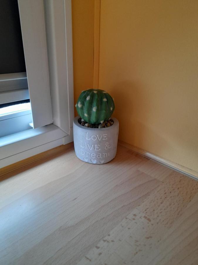 A Casinha Da Aguieira Na Lands Hause L6 Daire Burinhosa Dış mekan fotoğraf